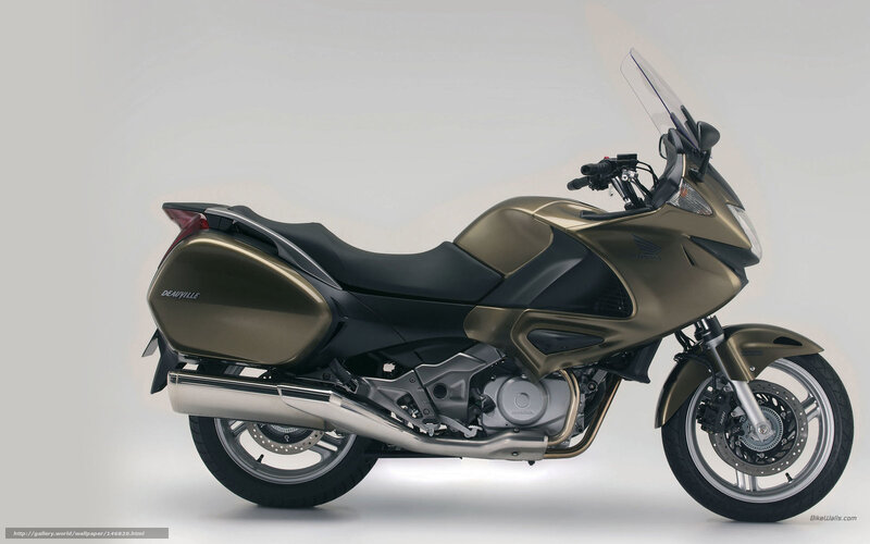 Gold Touring Motorcycle — Neutral, Photograph
