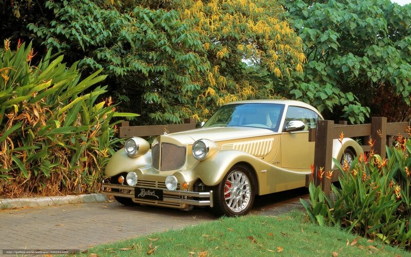Gold Vintage Car — Serene, Afternoon, Photograph, Plants