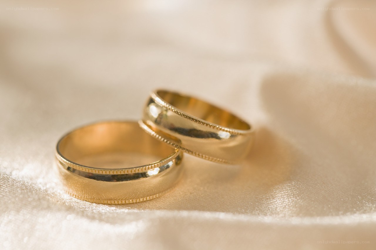 gold wedding rings on fabric