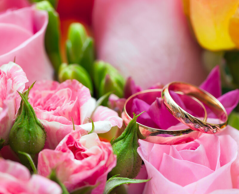 Gold Wedding Rings on Roses