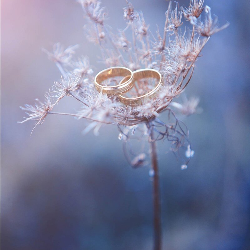 Gold Wedding Rings — Serene, Autumn