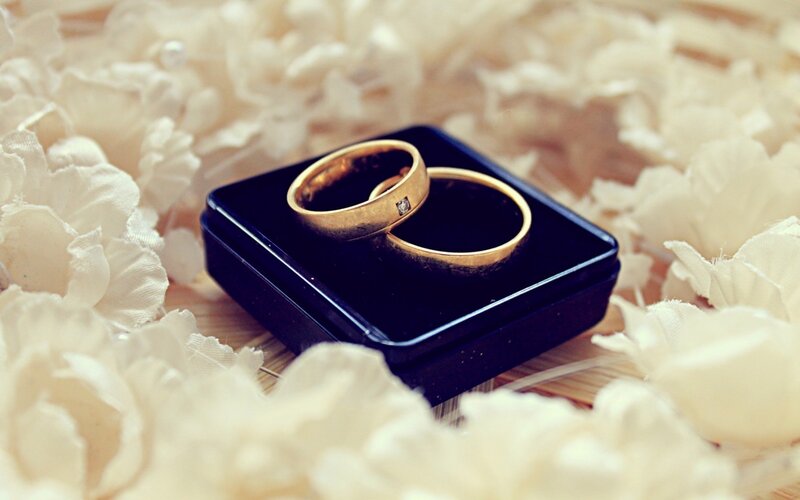 Gold Wedding Rings — White, Romantic, Photograph, Ring Box
