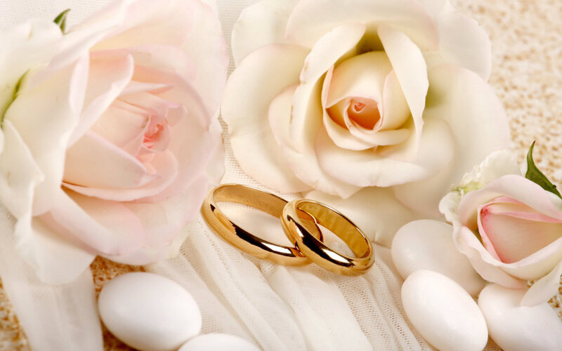 Gold Wedding Rings — White, Romantic, Photograph, Roses, White Stones
