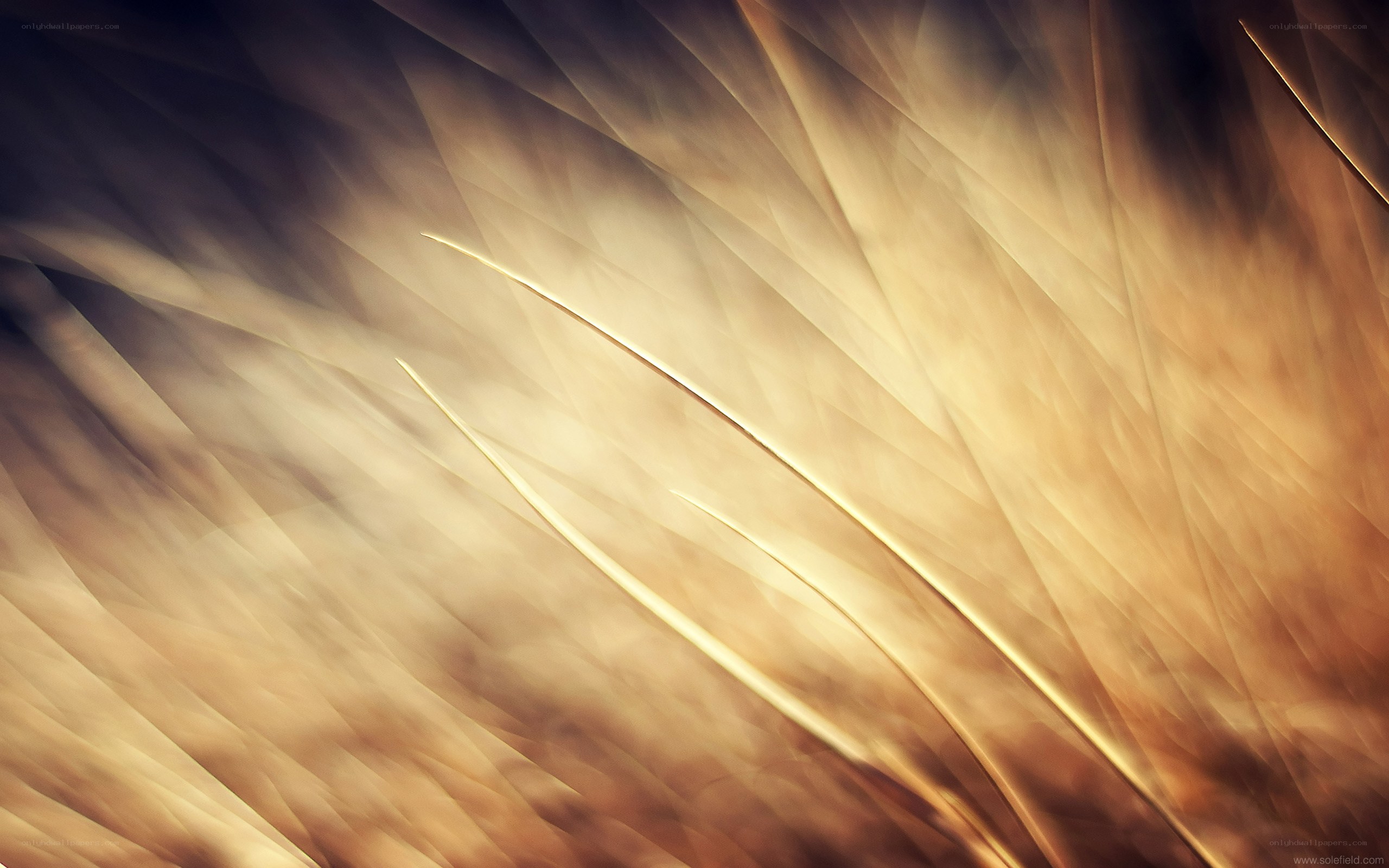 Golden abstract motion blur