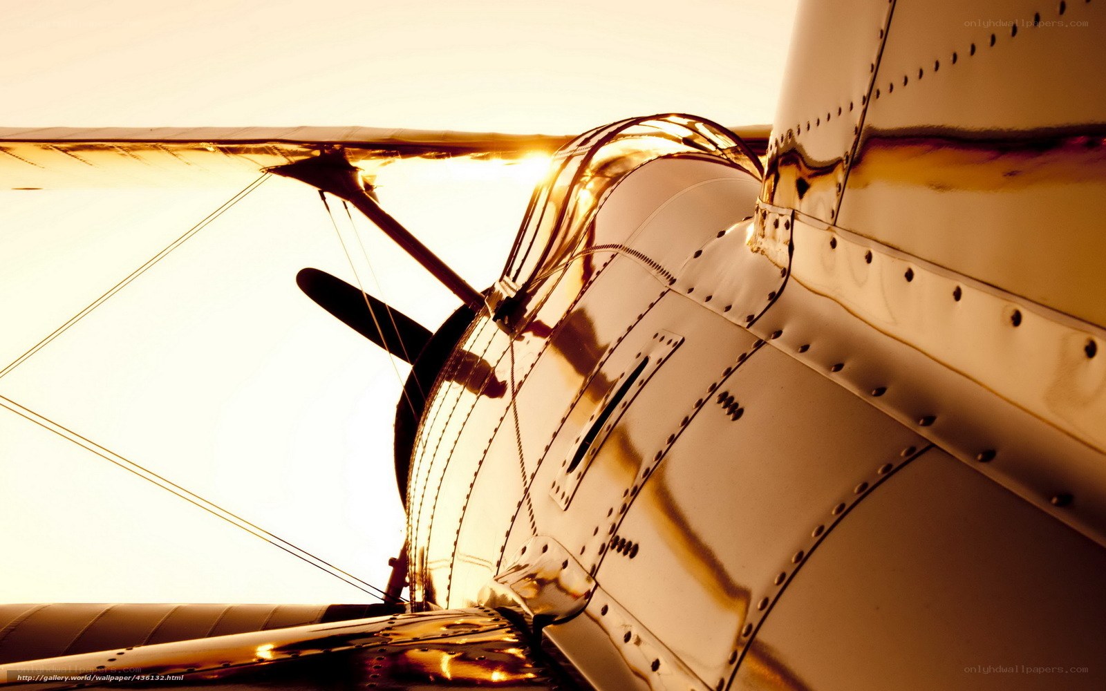 Golden airplane at sunset