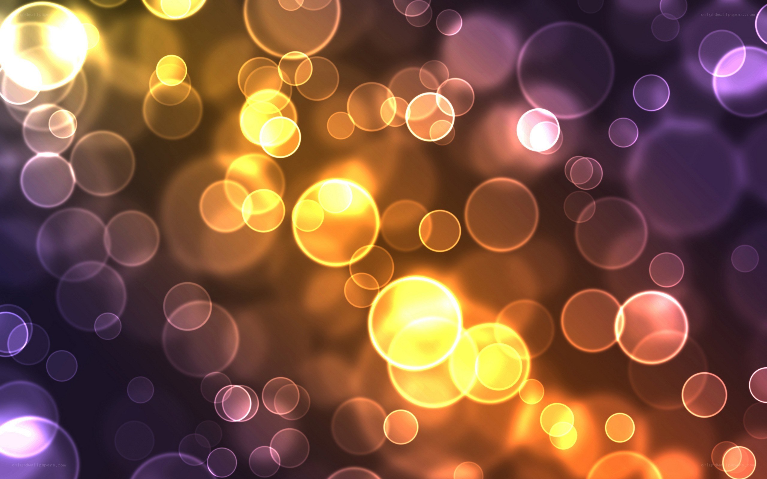 golden and purple bokeh lights
