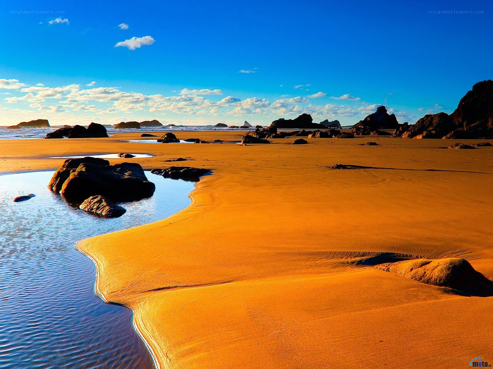 Golden beach at sunset