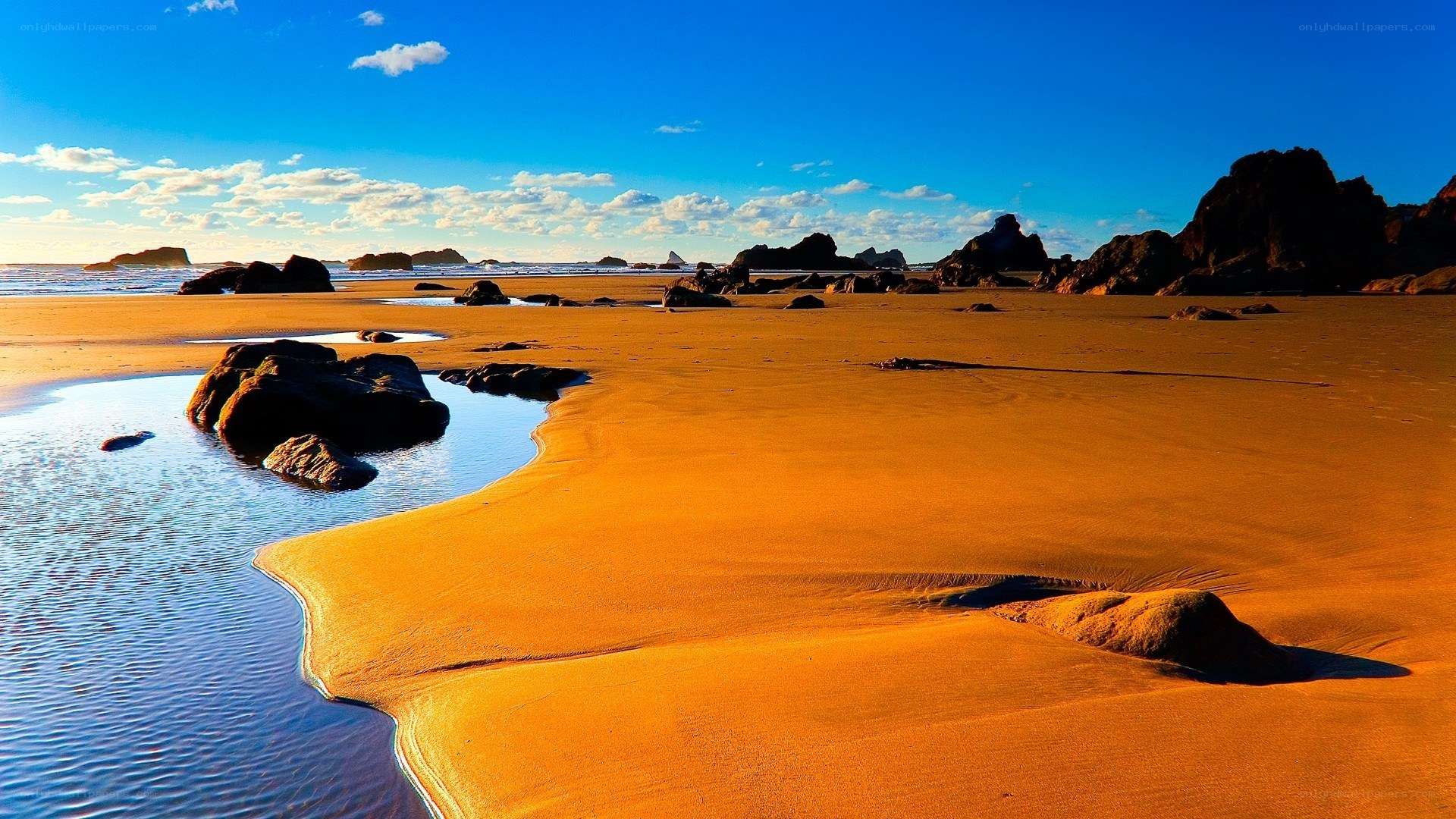 Golden beach at sunset