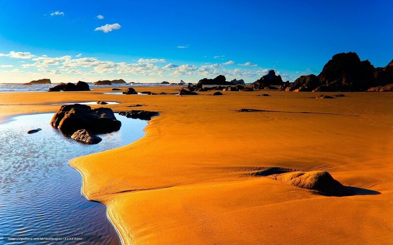 Golden beach at sunset
