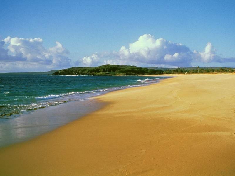 Golden Beach with Ocean — Blue