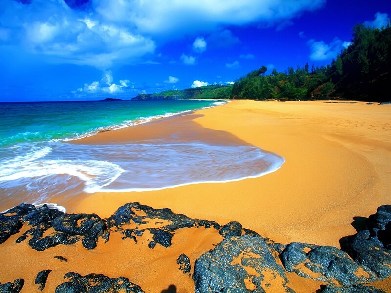 Golden Beach with Ocean