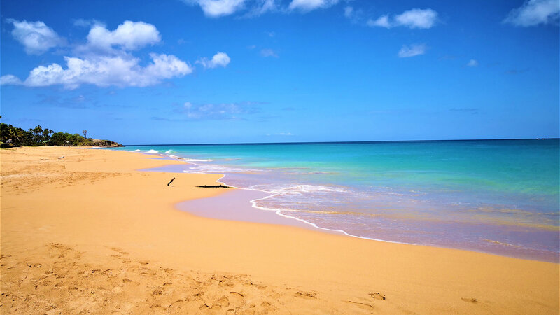 Golden Beach with Turquoise Water — Blue