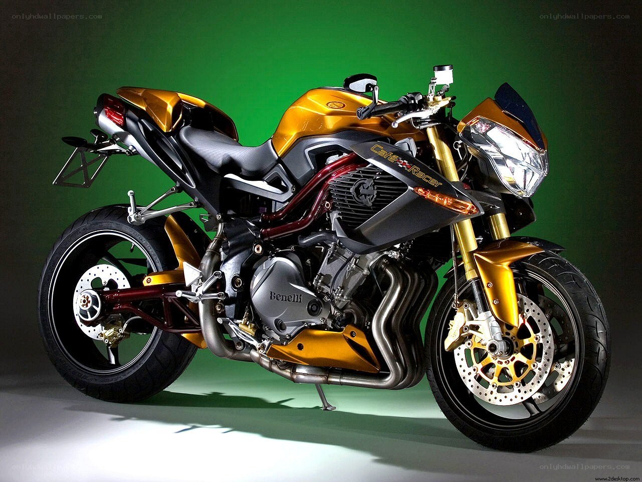 Golden Benelli Cafe Racer