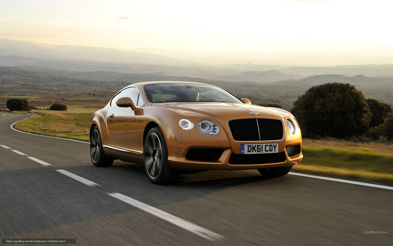 Golden Bentley Coupe — Gold, Serene
