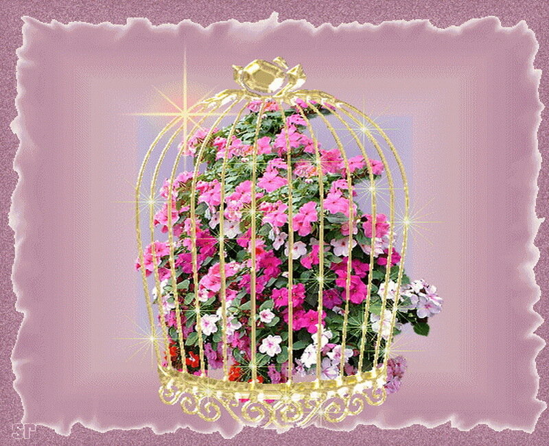 Golden Birdcage with Flowers