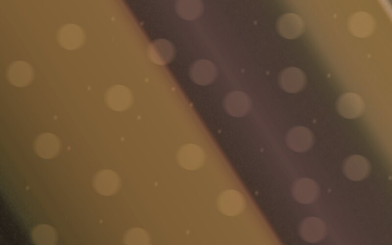 golden bokeh background