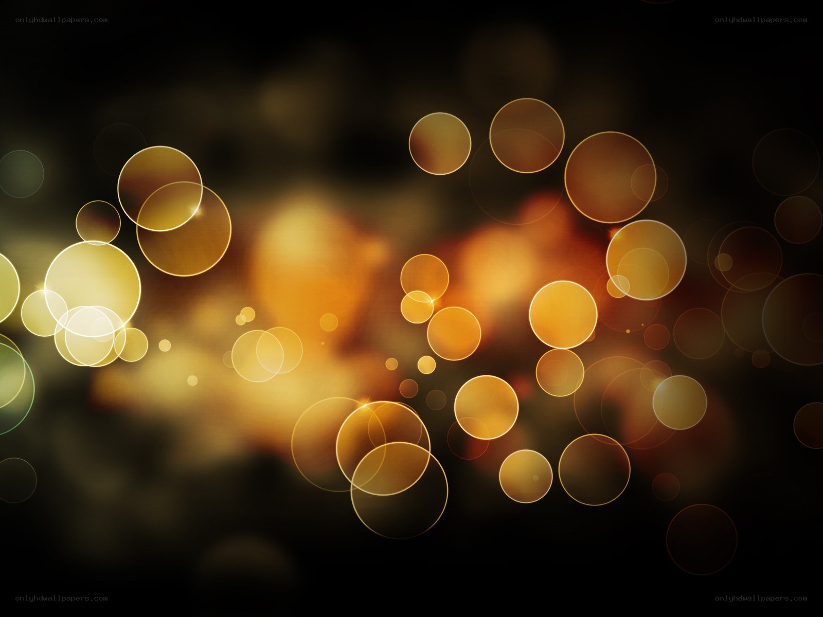 golden bokeh light circles
