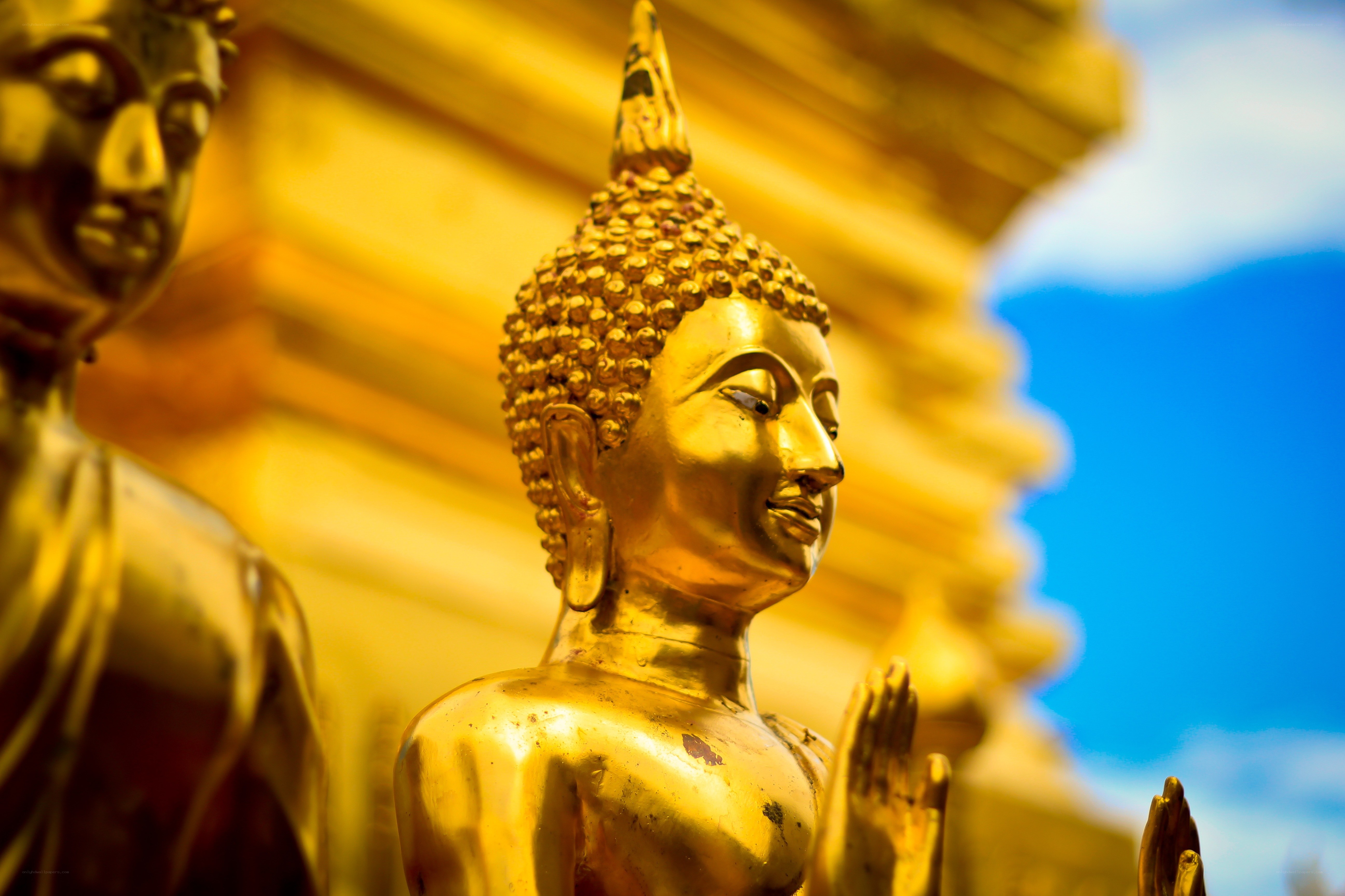 Golden Buddha statue in profile