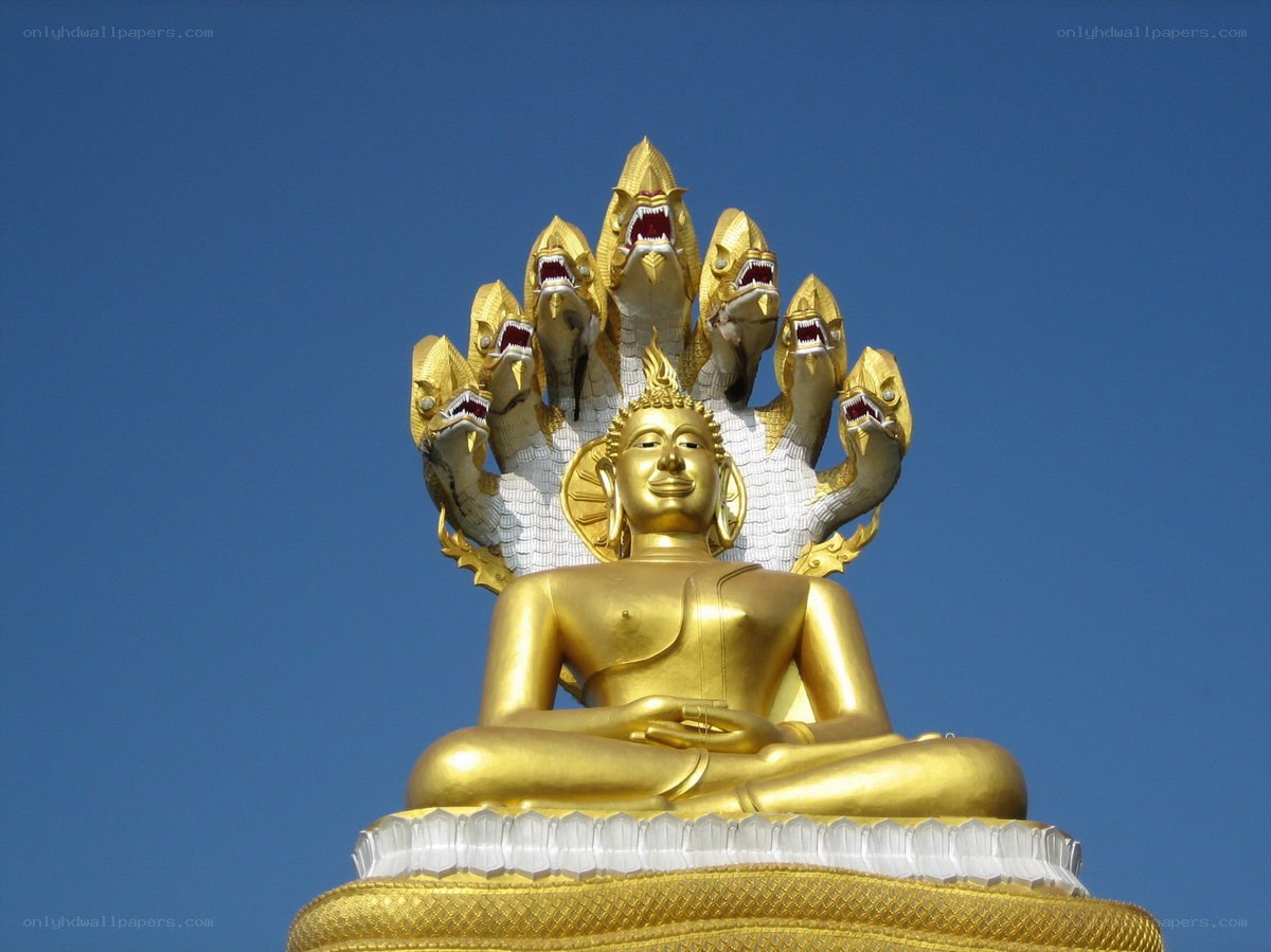Golden Buddha statue with serpent hood