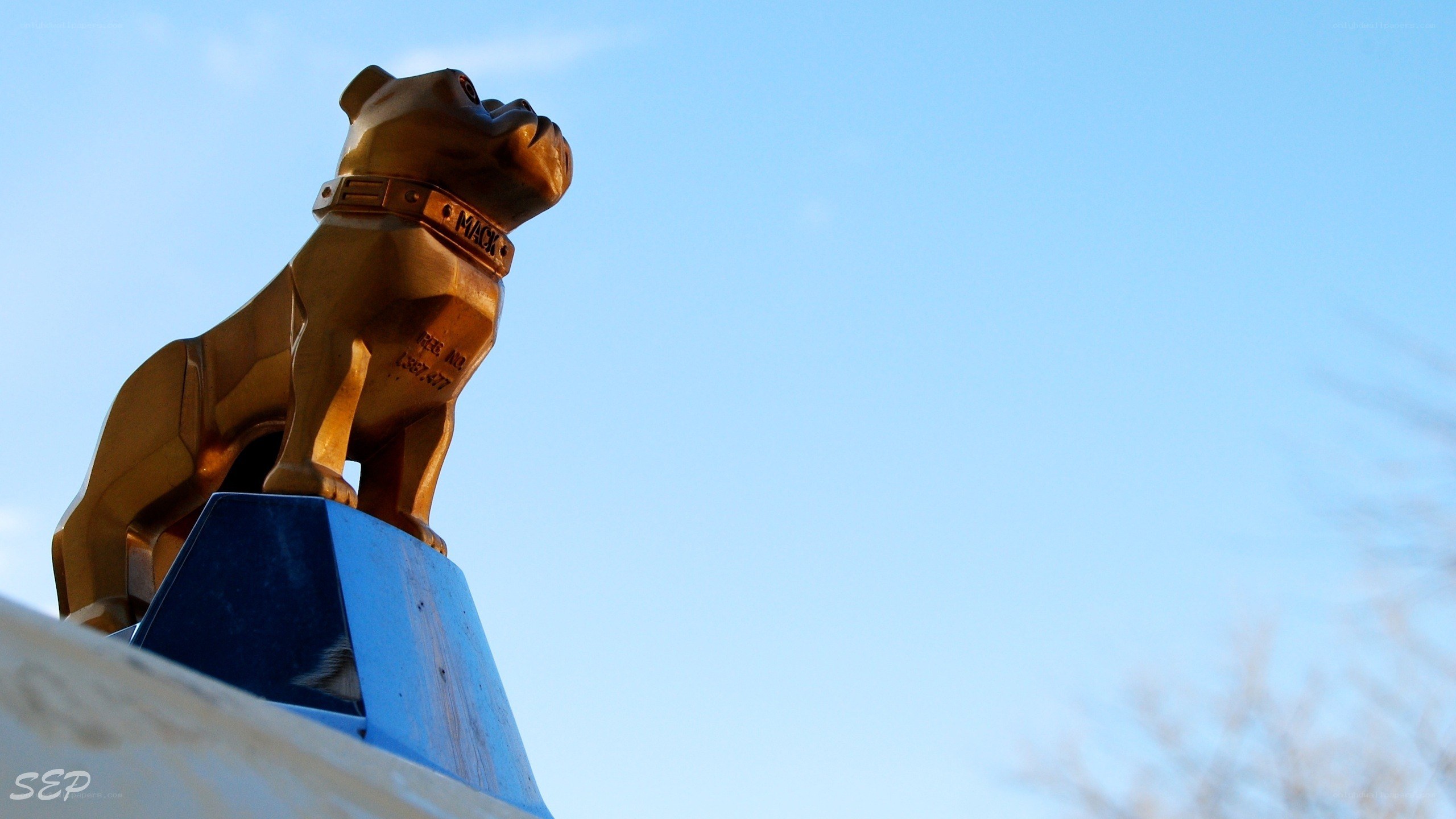 golden bulldog statue
