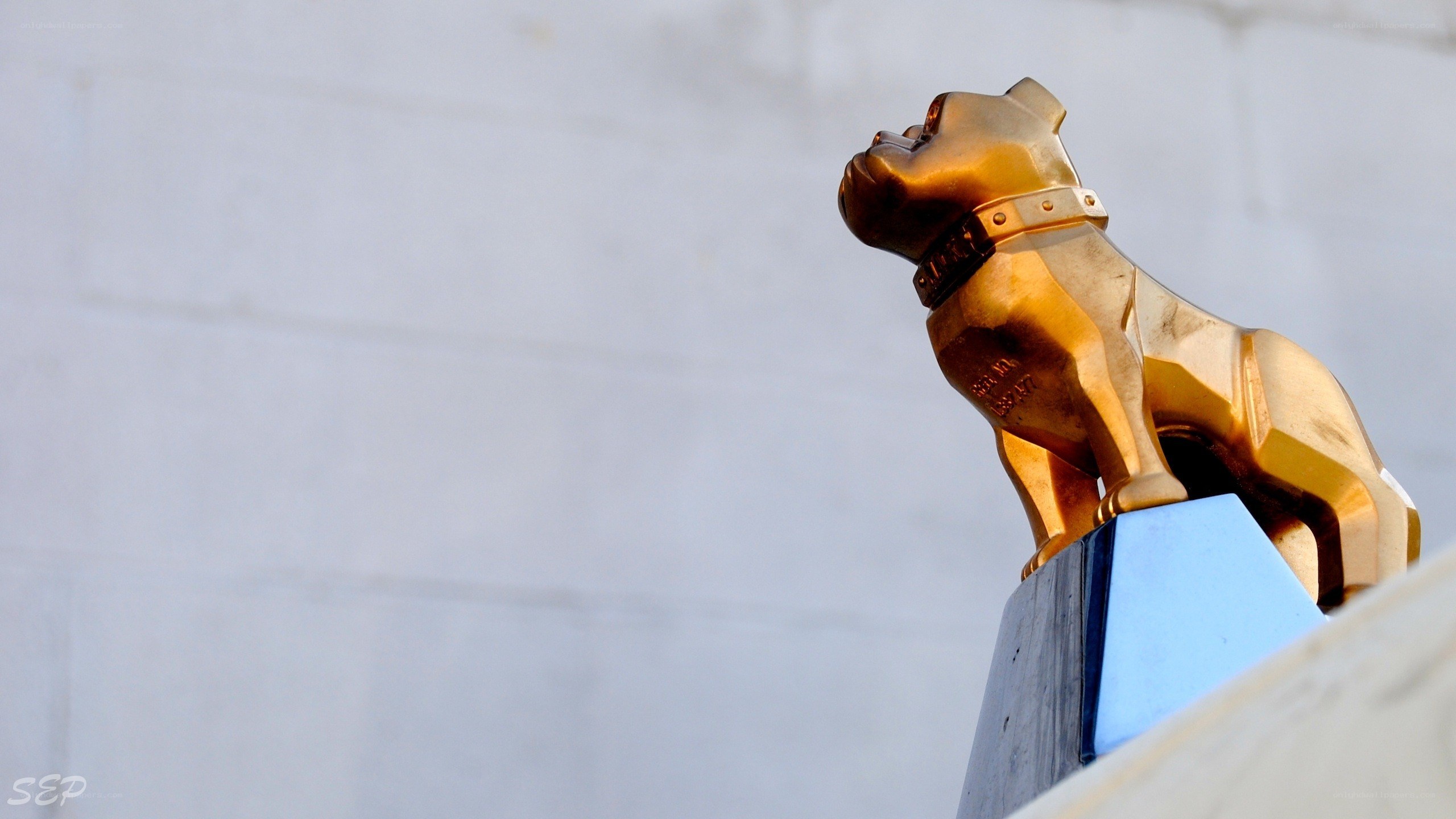 golden bulldog statue