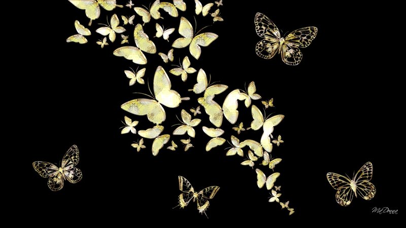 Golden Butterflies on Black