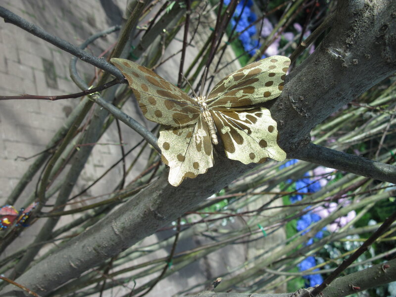 Golden Butterfly on Branch