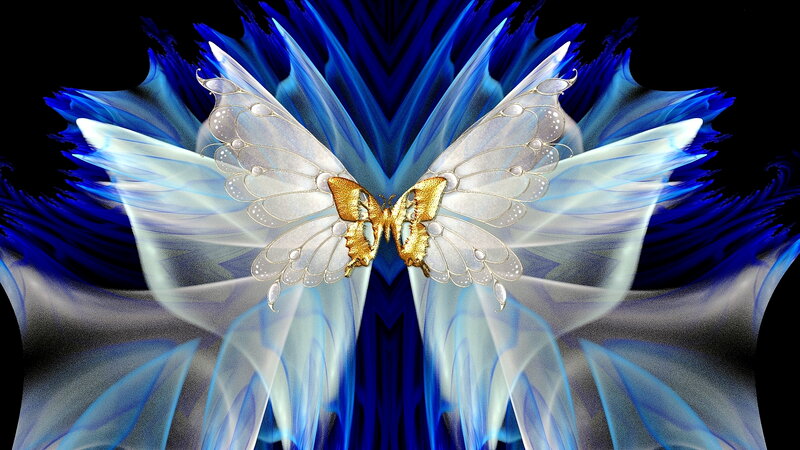 Golden Butterfly with Blue Wings