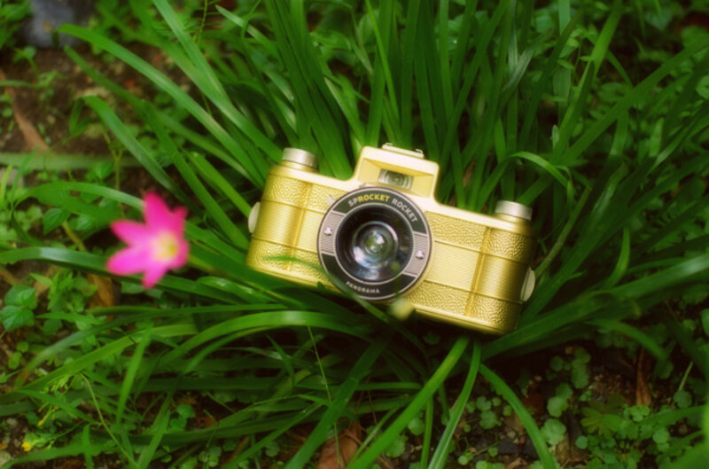 Golden Camera in Grass
