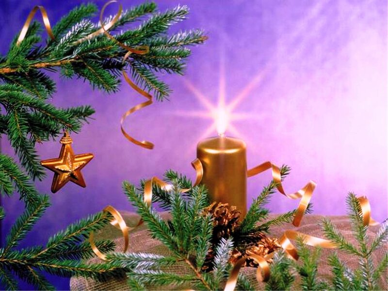 Golden Candle with Pine Branches — Purple