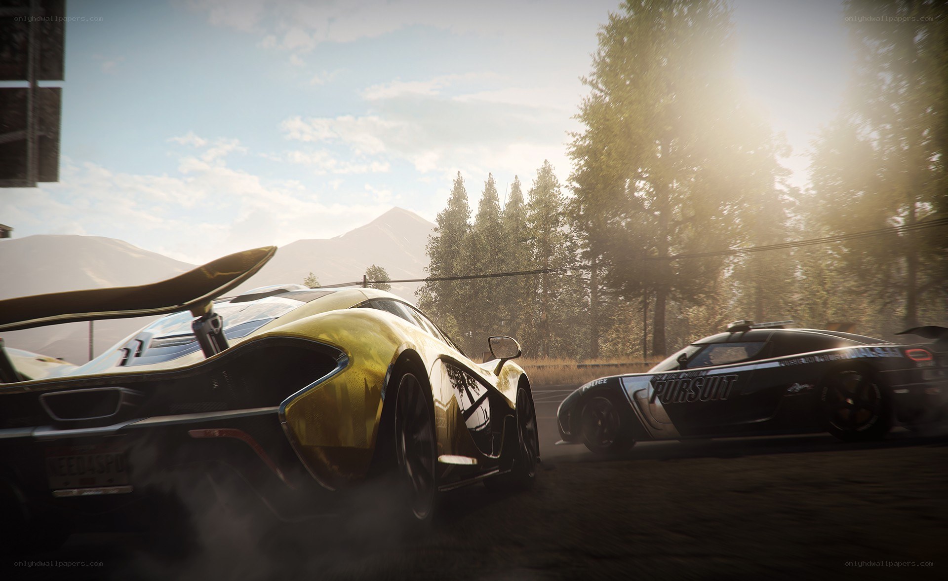 Golden car chase in forest