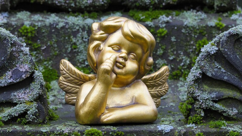Golden cherub statue in garden