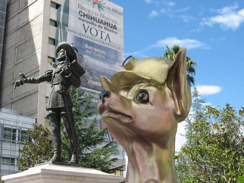 Golden Chihuahua Statue