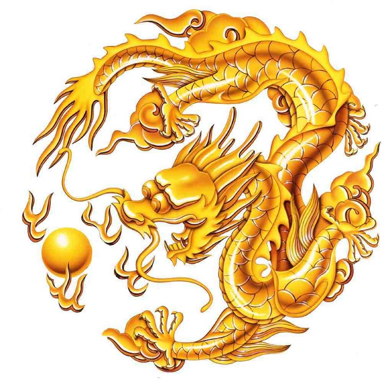 Golden Chinese dragon illustration