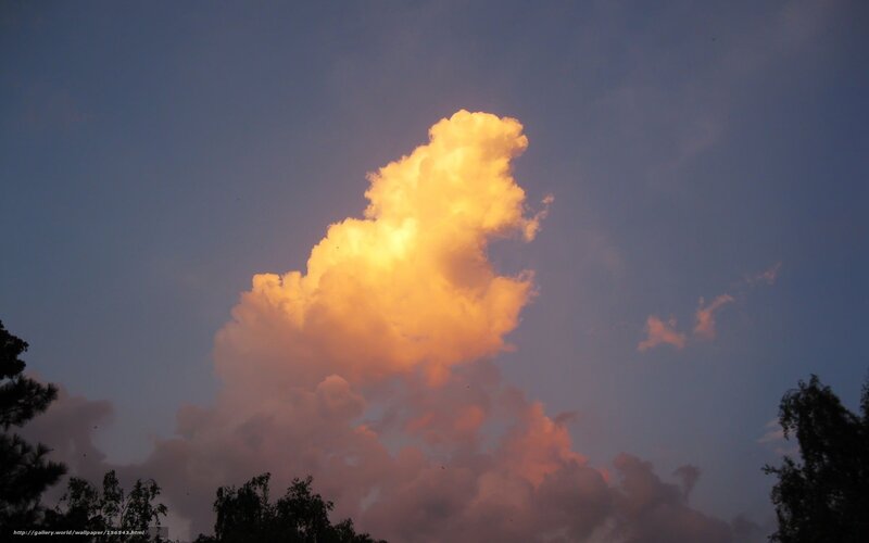 Golden cloud at dusk