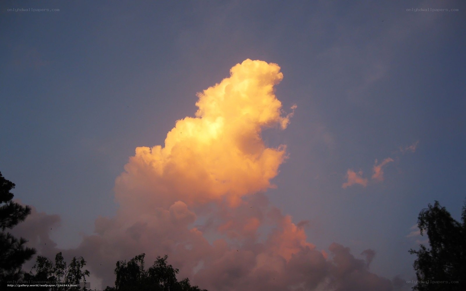 Golden cloud at dusk