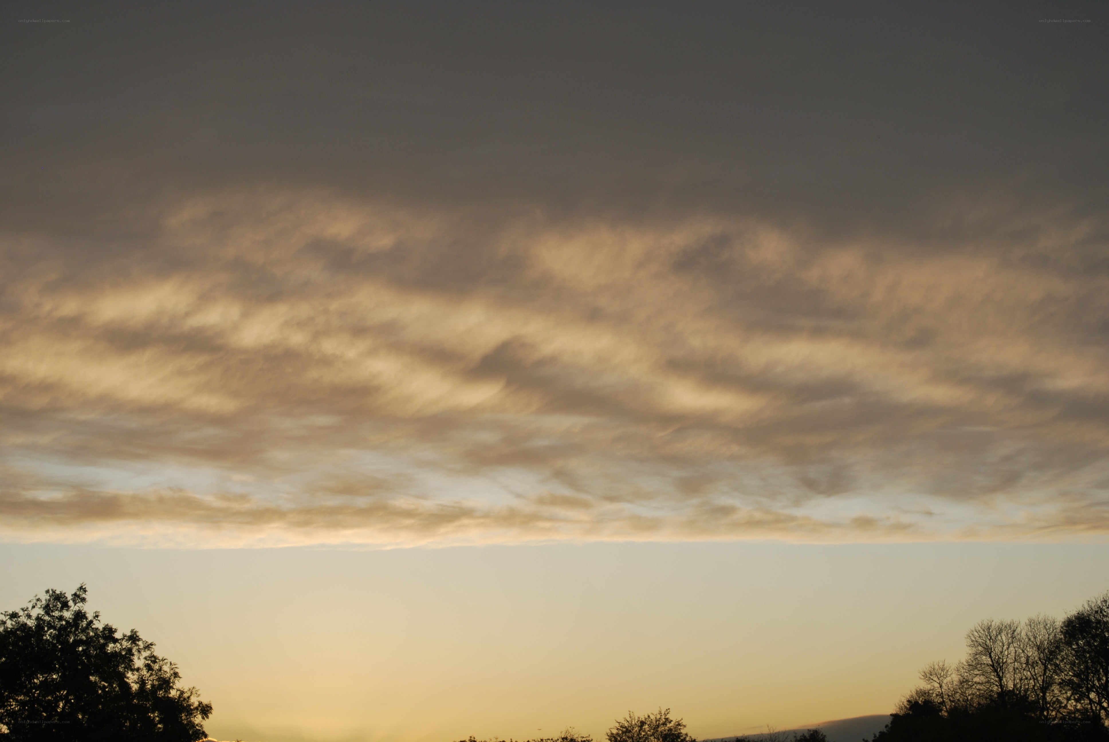 Golden clouds at dusk