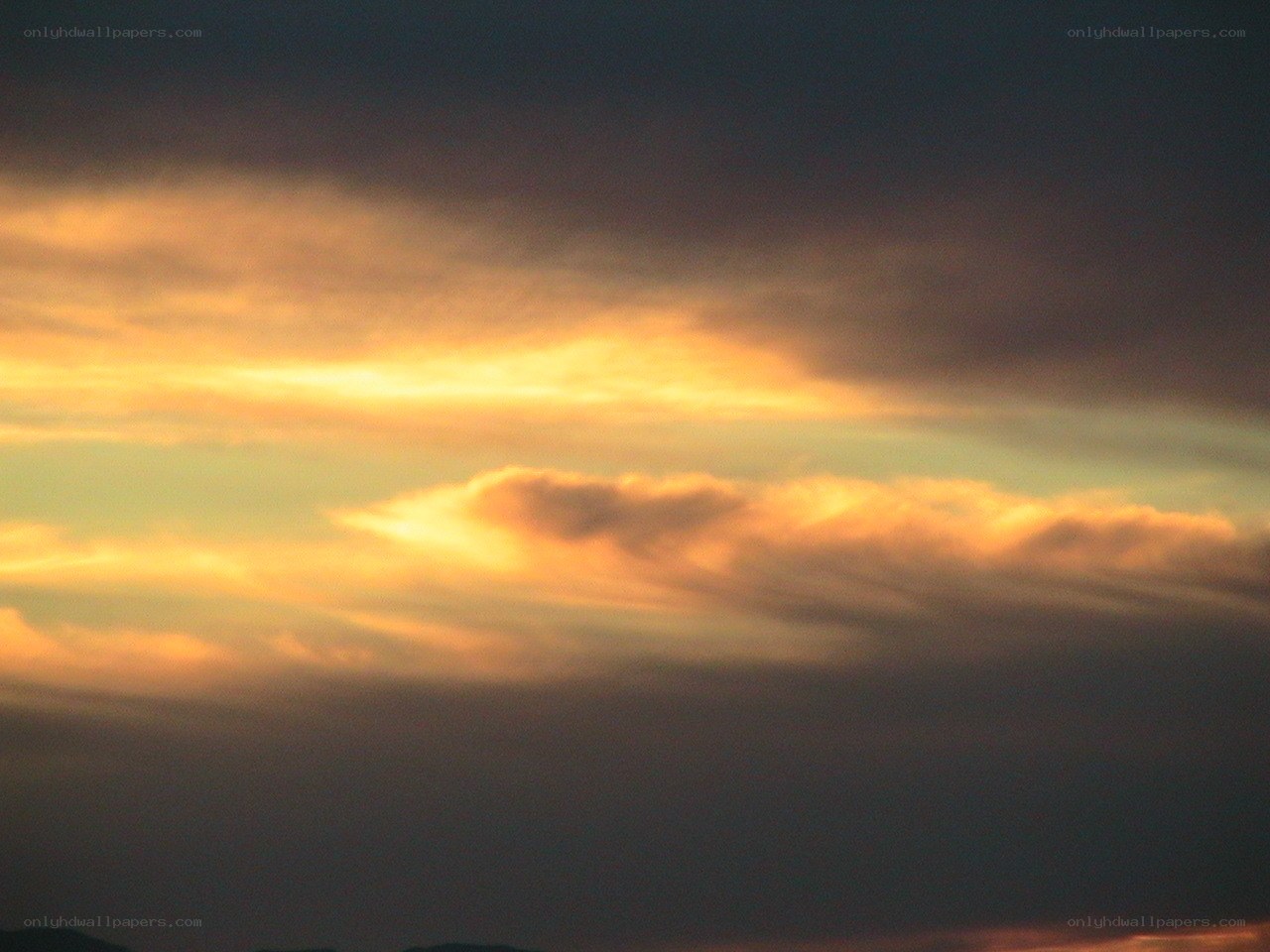 Golden clouds at sunset
