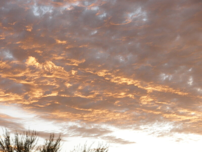Golden clouds at sunset