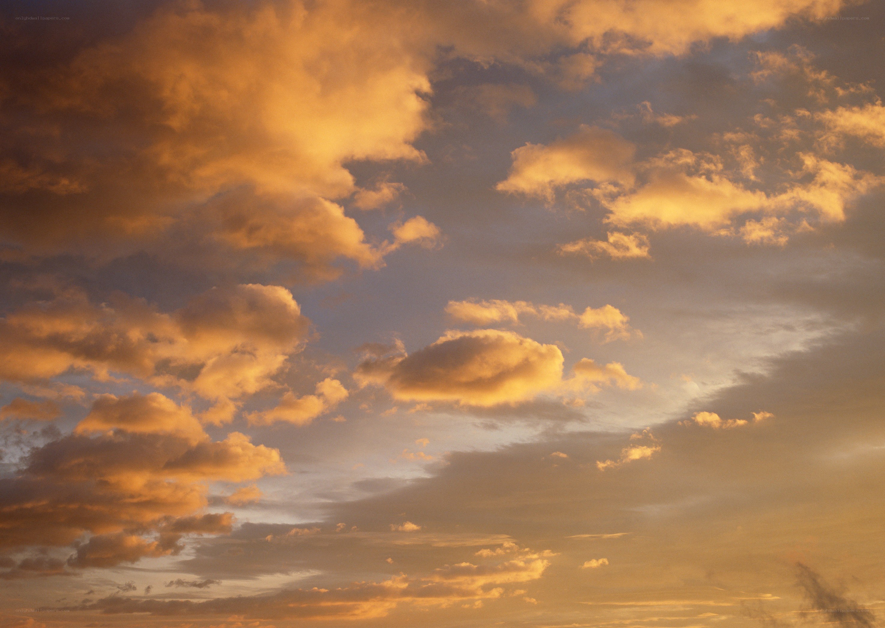 Golden clouds at sunset