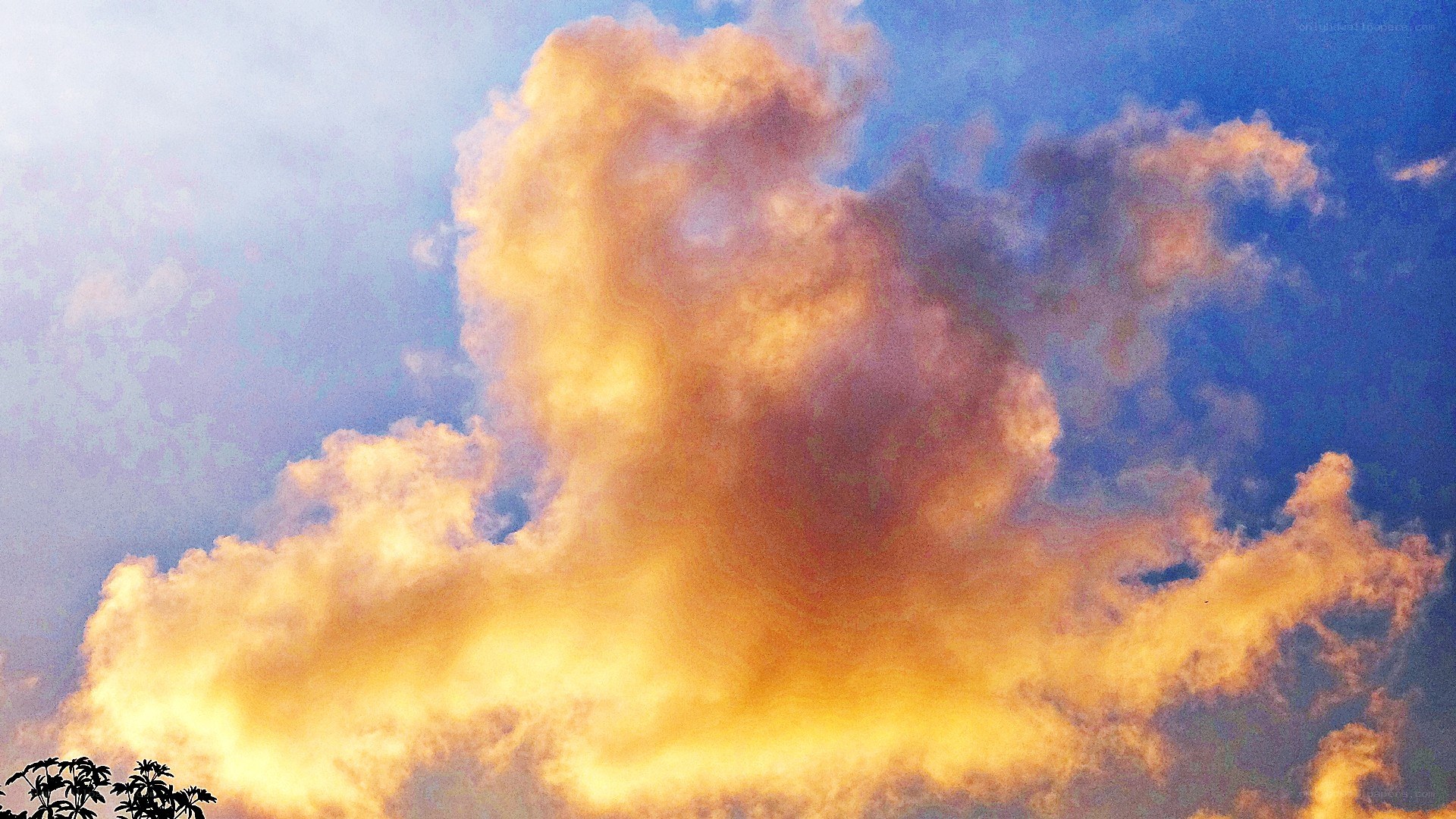 Golden clouds at sunset