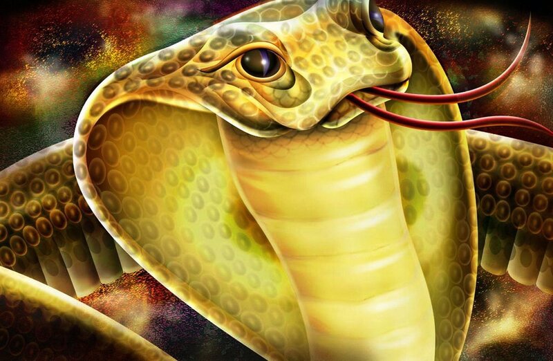 golden cobra with red tongue