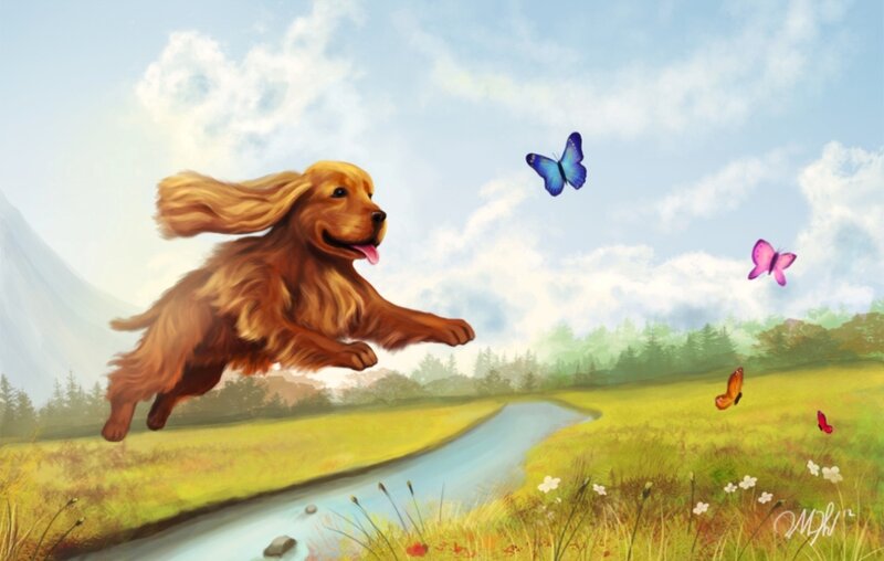 Golden Cocker Spaniel — Green, Playful