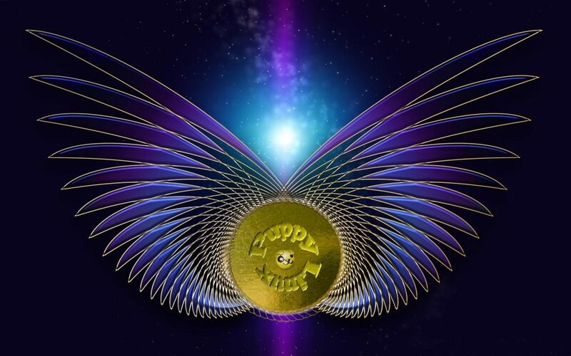 Golden Coin with Wings