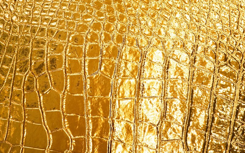 Golden Crocodile Skin