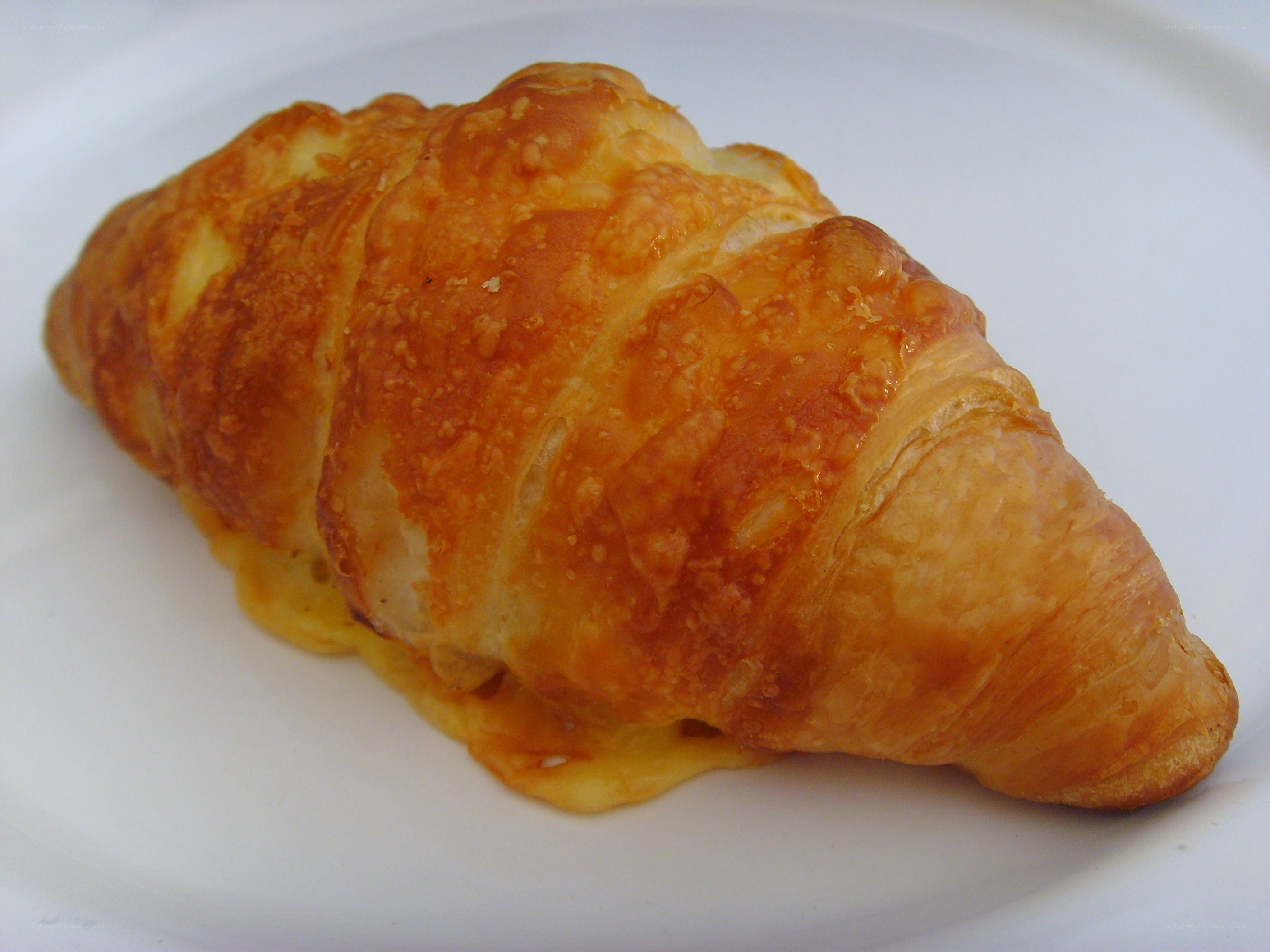 golden croissant on plate