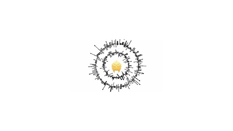 Golden Crown in Circle