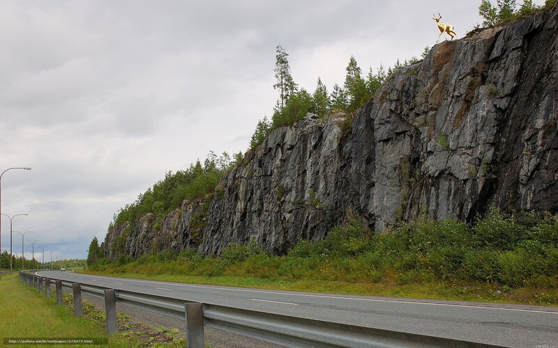 Golden deer statue on cliff