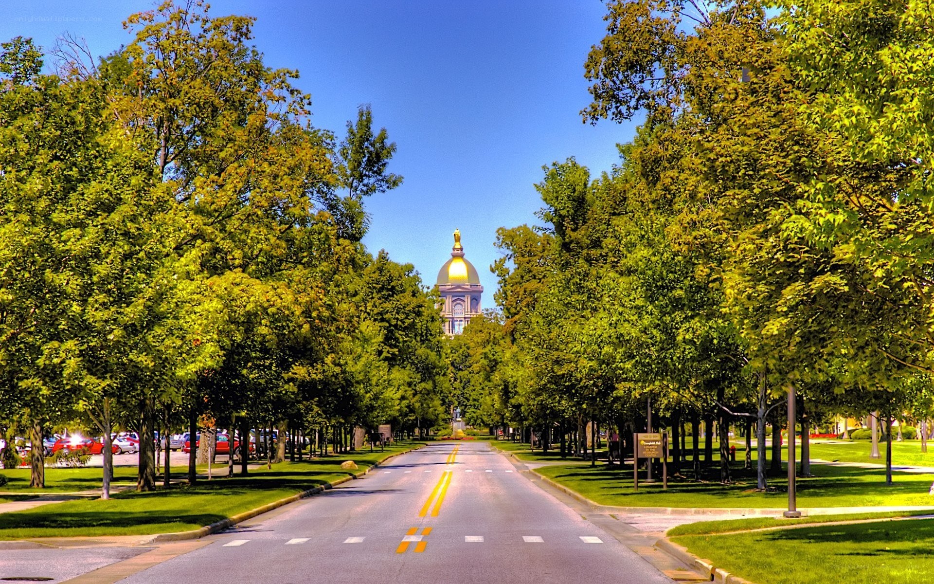 Golden dome on a tree-lined avenue