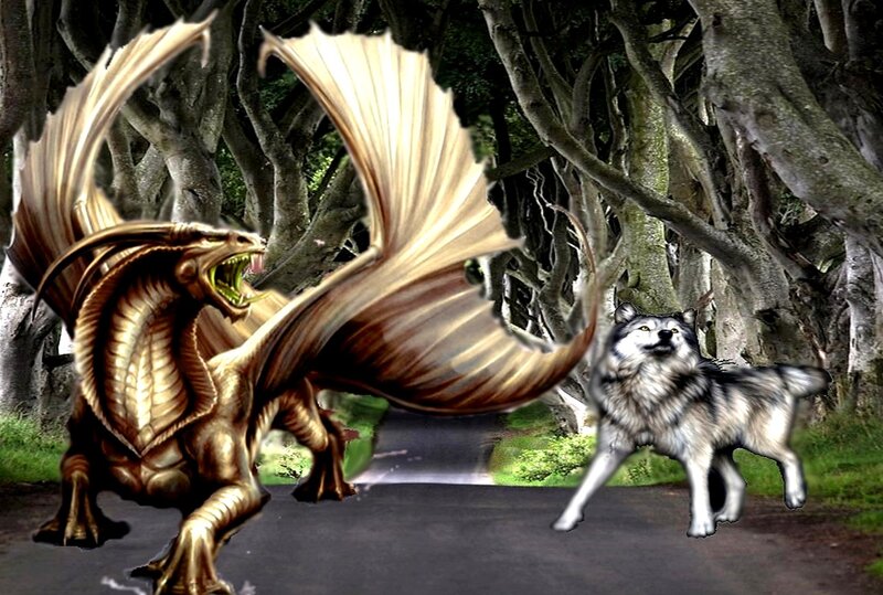 Golden Dragon and Wolf